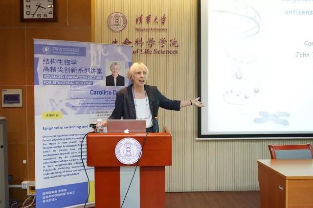植物表观遗传学专家Caroline Dean教授做客高精尖创新系列讲堂