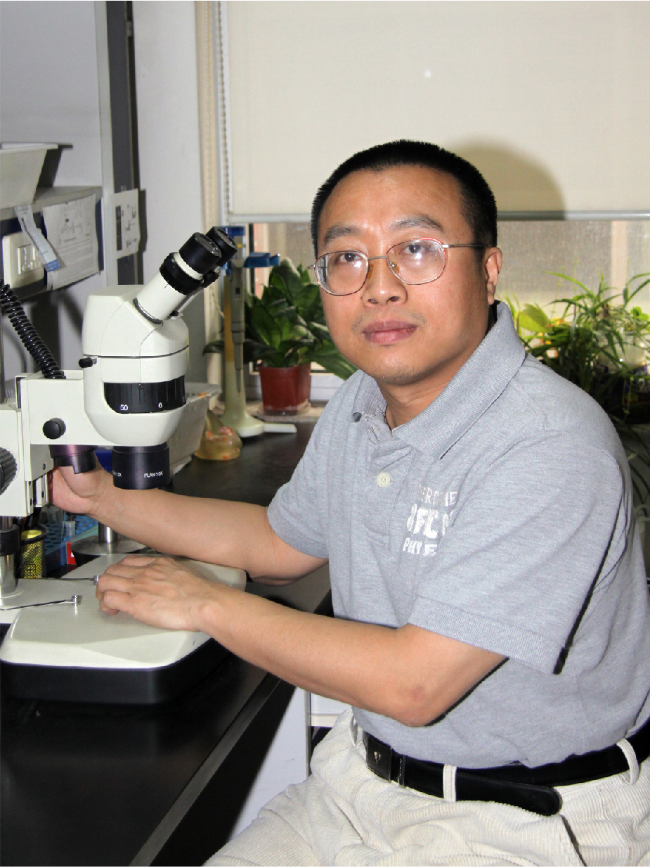 Hong Zhang