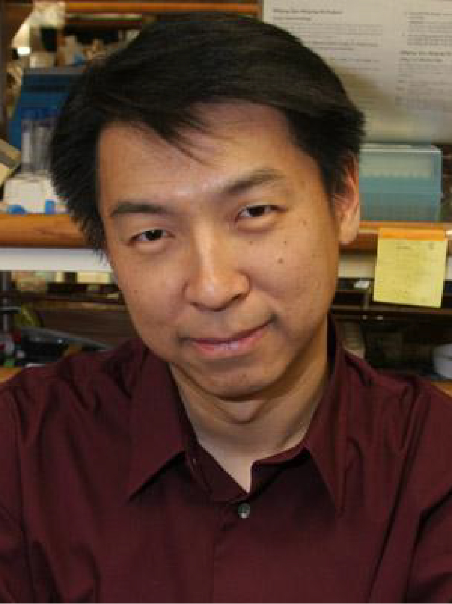 Kang Shen