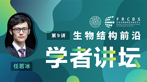 生物结构前沿学者讲坛第9讲——复旦大学任若冰研究员
